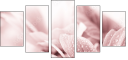 31030439