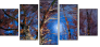 31860208