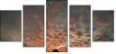 32897630
