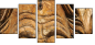 35042971