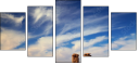36106694