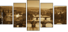 36297051