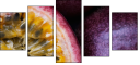 36705995