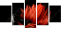38661910