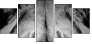 39012933