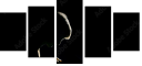 39076557