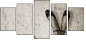 40085175