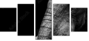 41216080