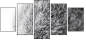 41365560