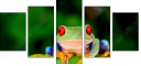 42467641