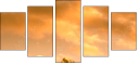 42979292