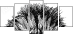 44646006