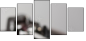 44702286
