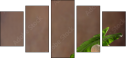 44772824