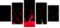 45070058