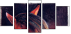 46243808