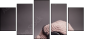 46421983