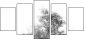 47020348