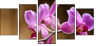 48156250