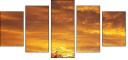 48905885