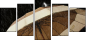 49306047
