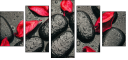 49357610