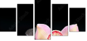 49497530