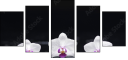49632370