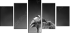 49654340