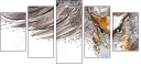 50509602