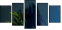 50564432