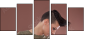50744690