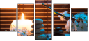 50934171