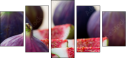 52014179