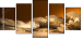 52670728