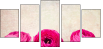 52805750