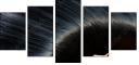 52931906