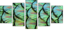 53512479
