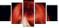 53895849
