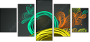 54482937