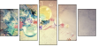 54496045
