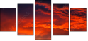 54554863