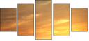 54974402