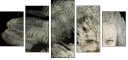 55066305