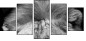55206469