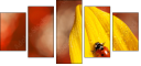 55820987