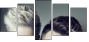 56245304