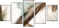 56562123
