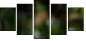 56795972