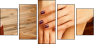 56838122
